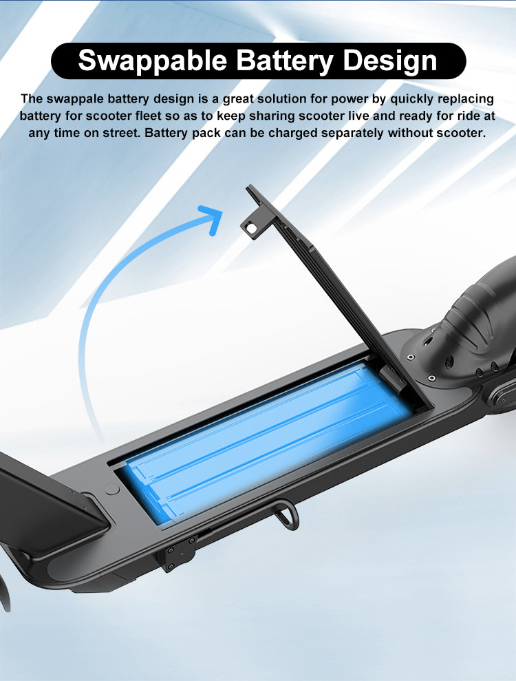 The ride-share escooter rental partnership agreement between EcoRio and Ride App,INC