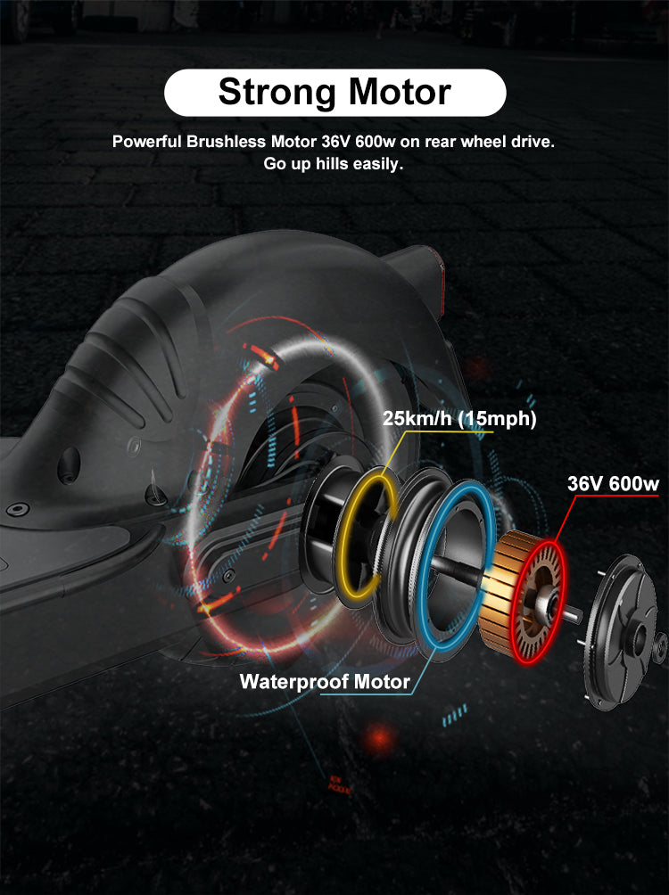 The ride-share escooter rental partnership agreement between EcoRio and Ride App,INC