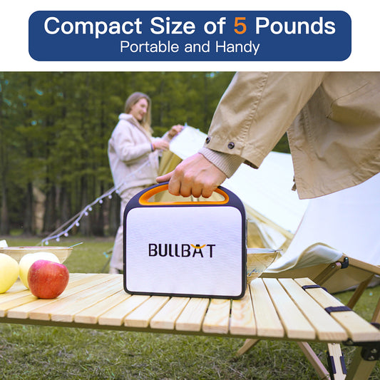 US Warehouse Direct Entry Level 250W Solar Power Station