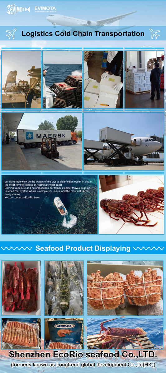 Evimota Australia-oriented Seafood selling via Douyin(also known for Tiktok)