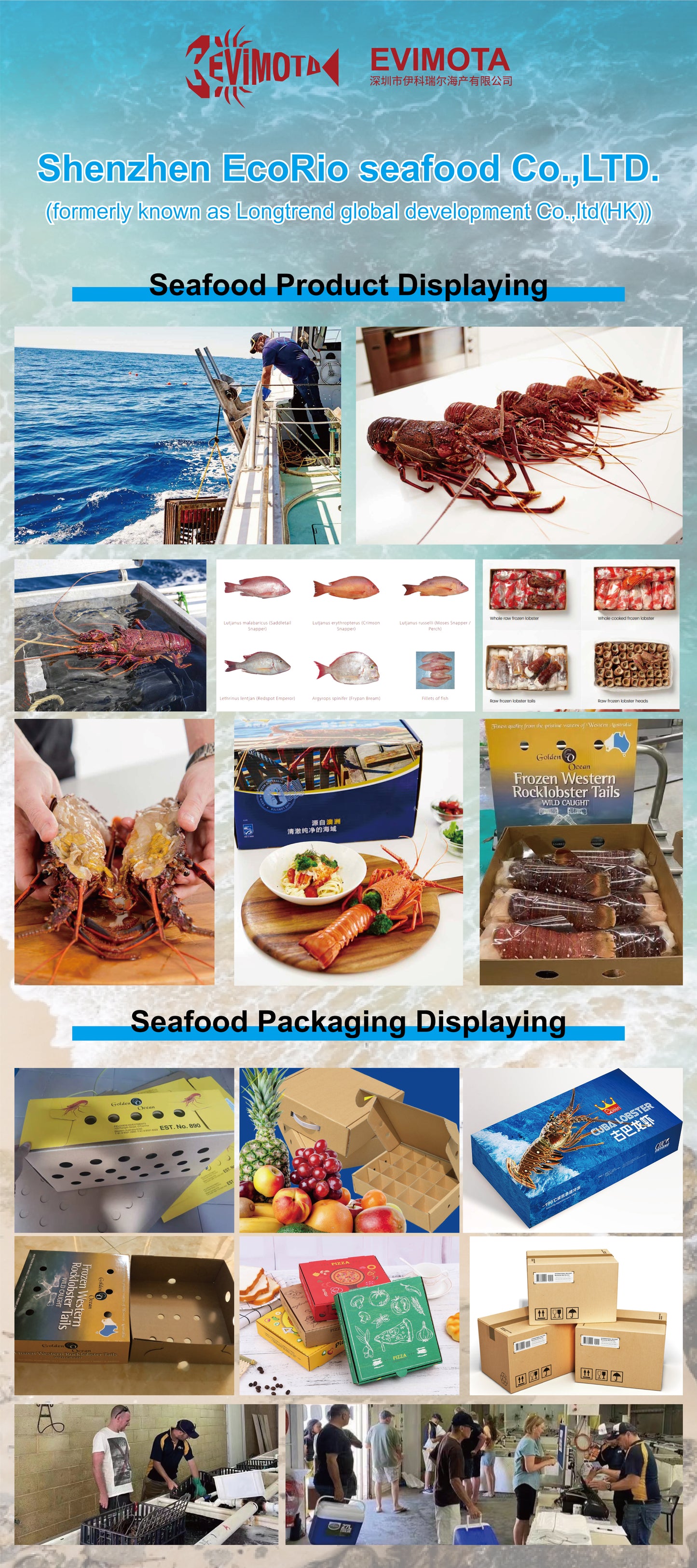 Evimota Australia-oriented Seafood selling via Douyin(also known for Tiktok)