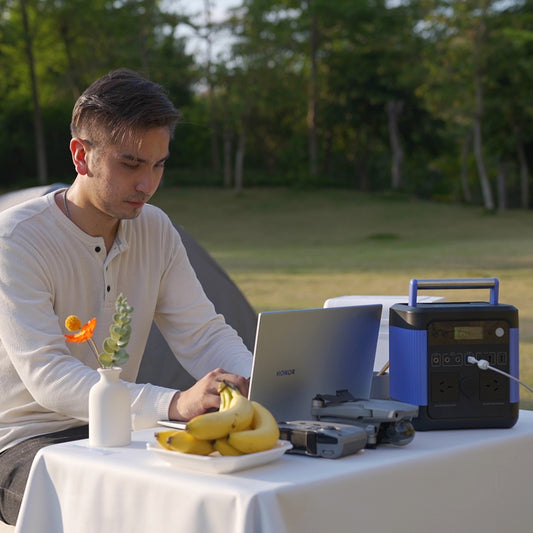 Solar Generator Backup Power Supply Home Outdoors Camping Travel Emergency Battery with 110V Pure Sine Wave AC Outlett