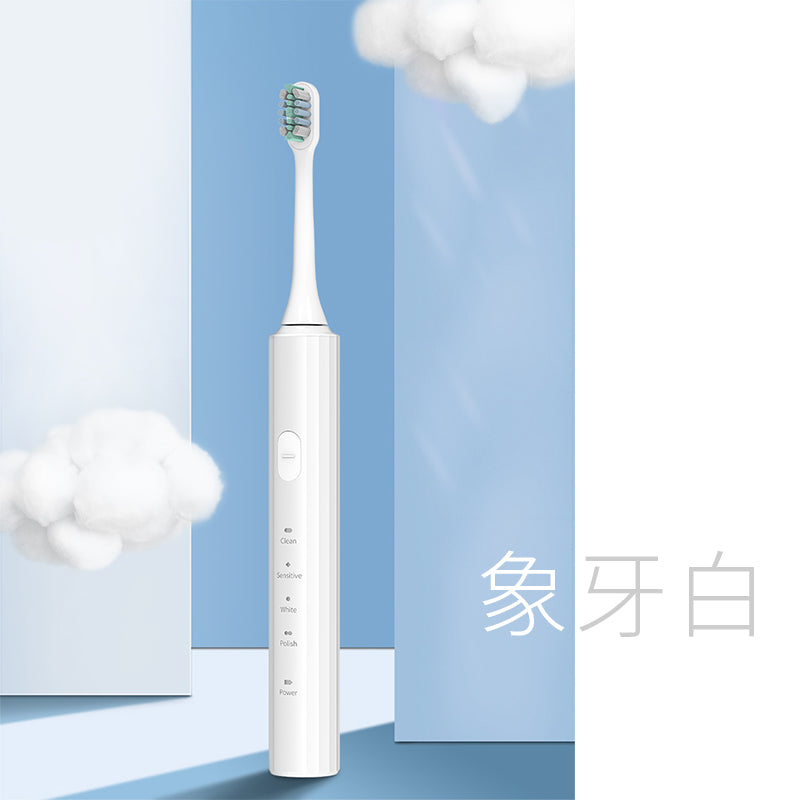 ER-U6 Lazada and Amazon hotselling items-Electric toothbrush-Rome,Italy style preferred