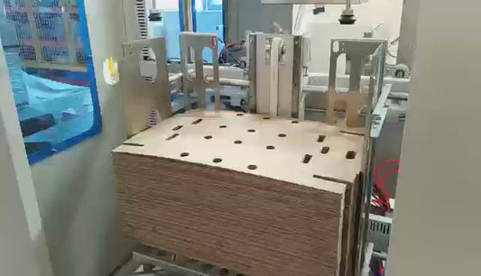 Customized packing operation machine designed for Southeast-Asia as well as Australia/Newzeland Markets